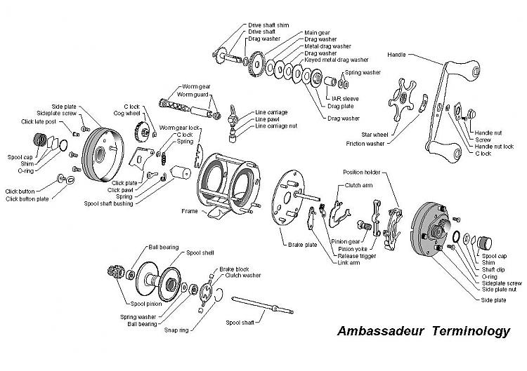 schematic terminology